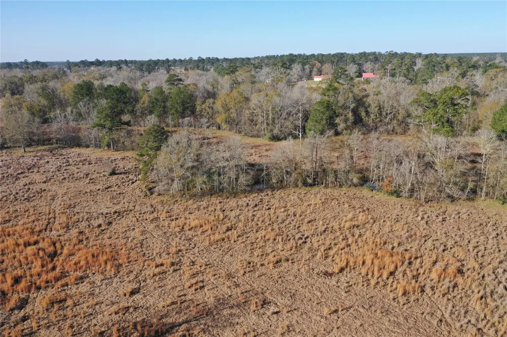 Lakeland Hillister, TX 77624