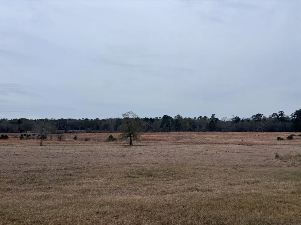 Lakeland Hillister, TX 77624