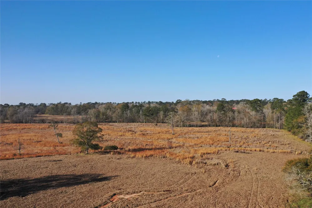 Lakeland Hillister, TX 77624