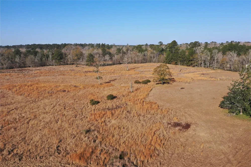 Lakeland Hillister, TX 77624