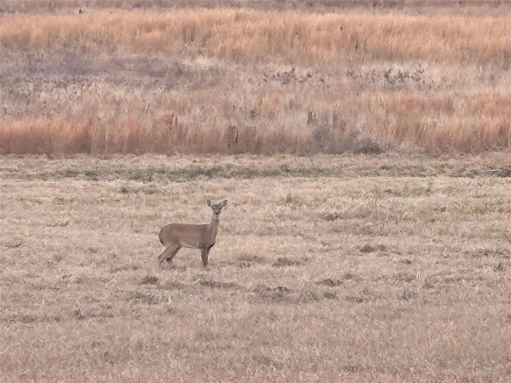 Lakeland Hillister, TX 77624