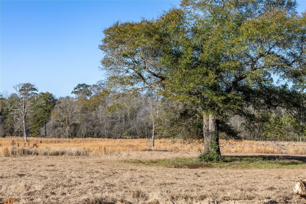 Lakeland Hillister, TX 77624