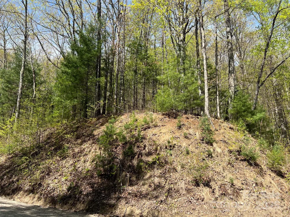 00 Hidden Trail Franklin, NC 28734