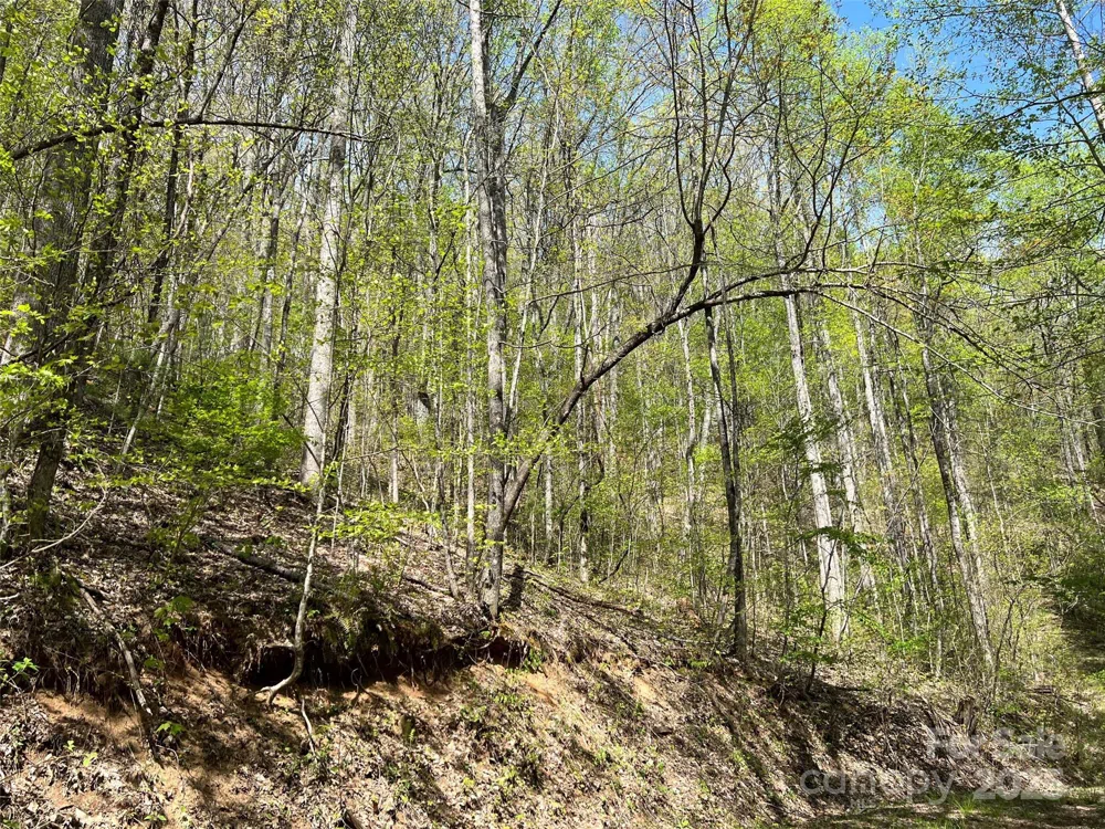00 Hidden Trail Franklin, NC 28734