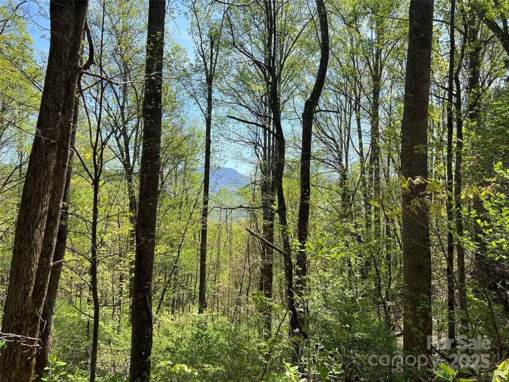 00 Hidden Trail Franklin, NC 28734