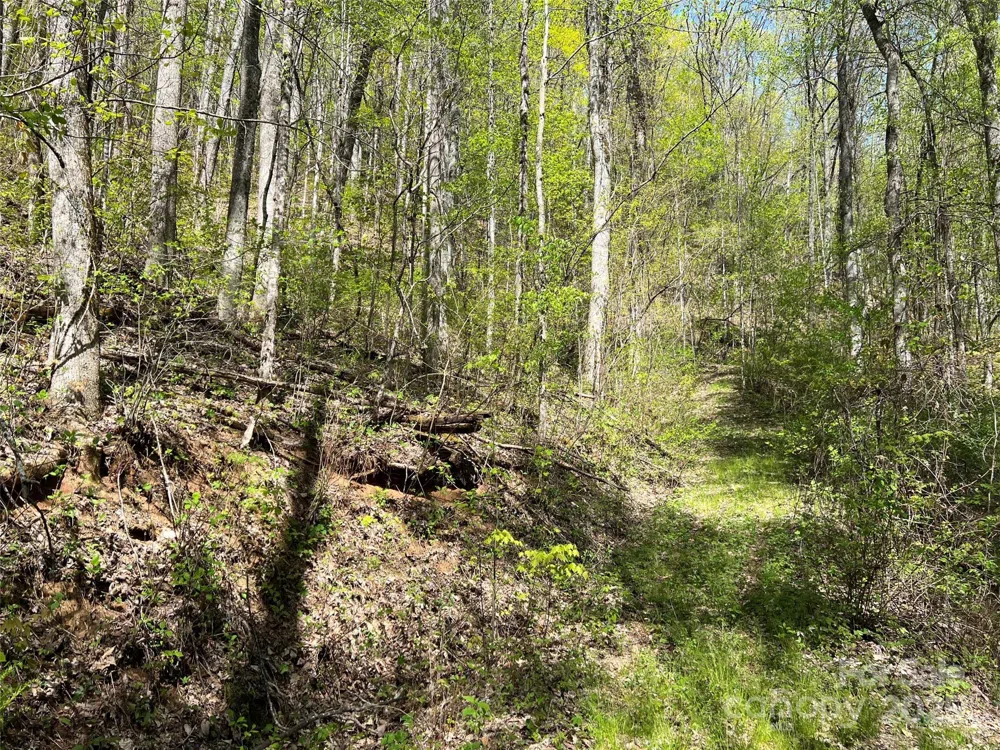 00 Hidden Trail Franklin, NC 28734
