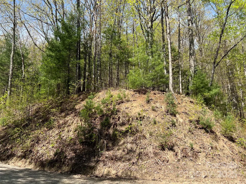 00 Hidden Trail Franklin, NC 28734