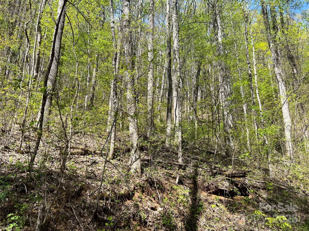00 Hidden Trail Franklin, NC 28734