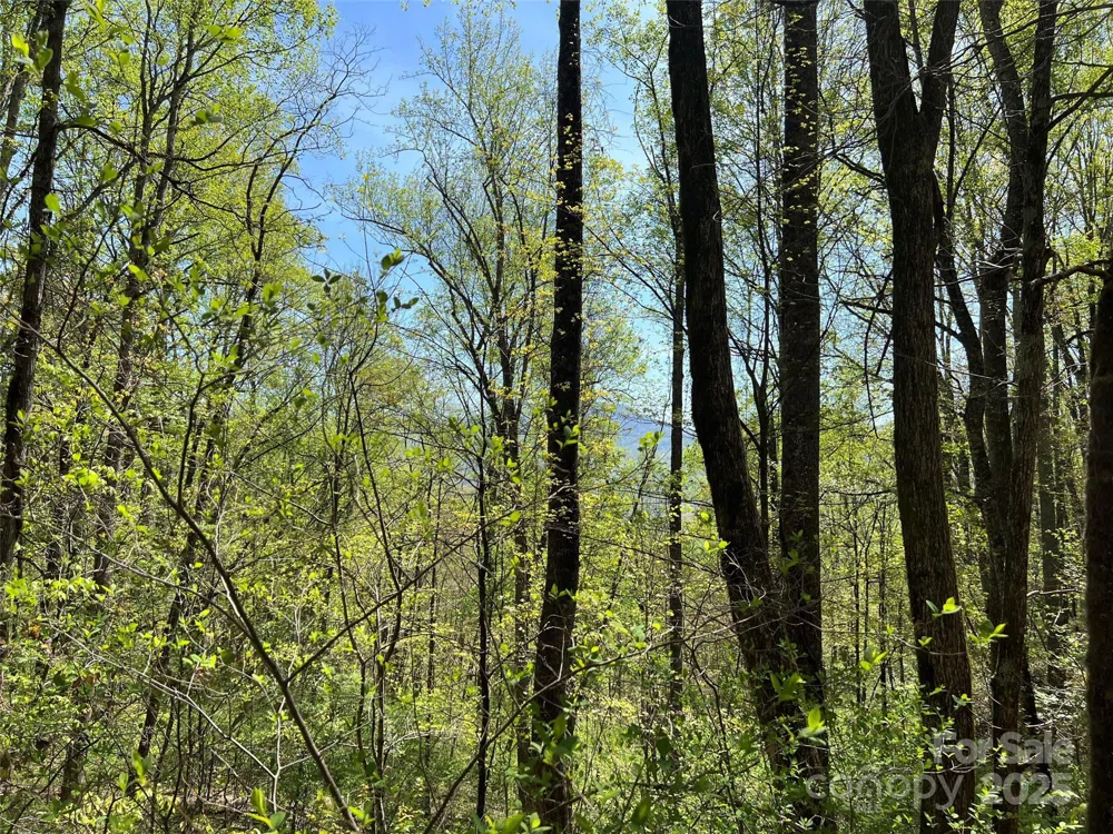 00 Hidden Trail Franklin, NC 28734