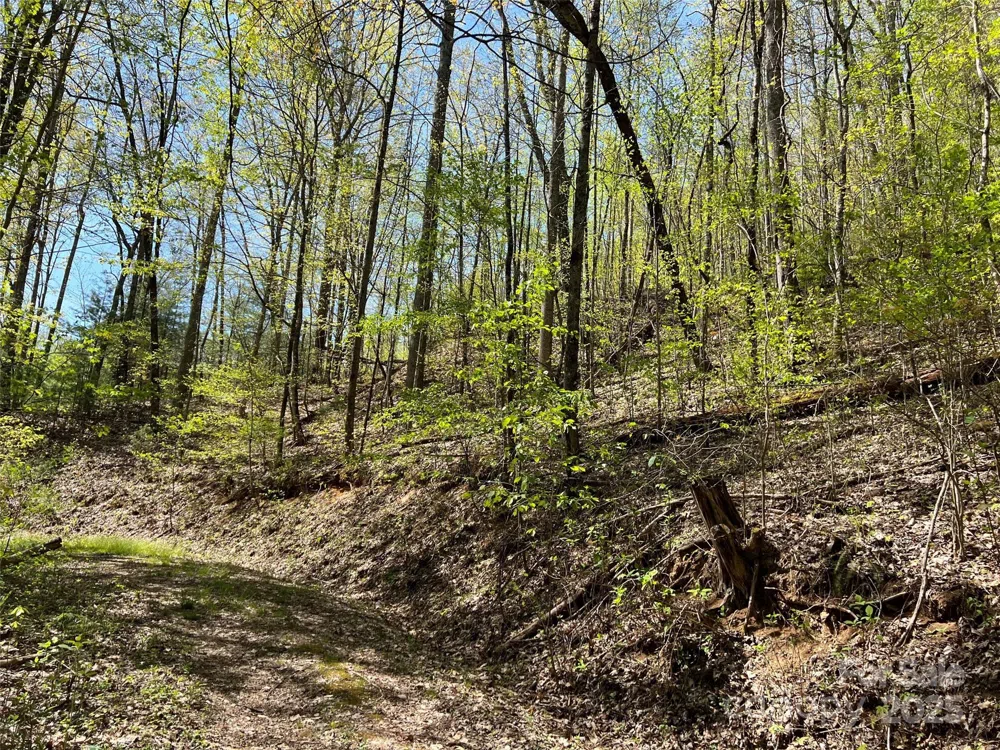 00 Hidden Trail Franklin, NC 28734