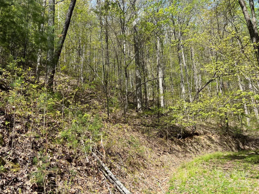 00 Hidden Trail Franklin, NC 28734