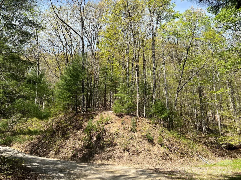 00 Hidden Trail Franklin, NC 28734