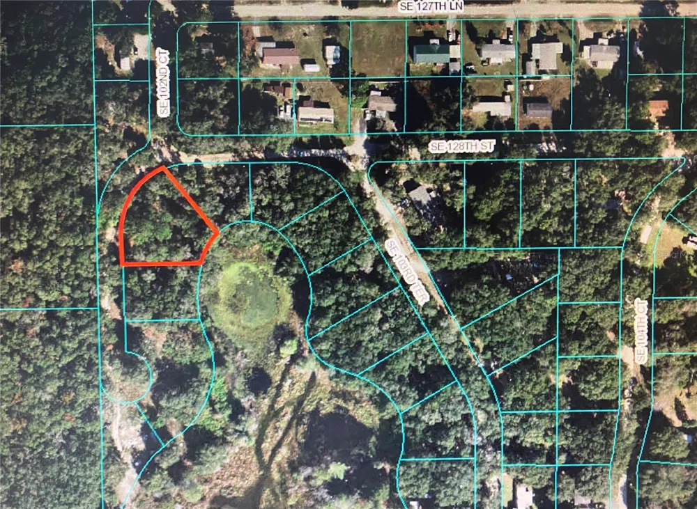 12851 SE 102ND COURT Belleview, FL 34420