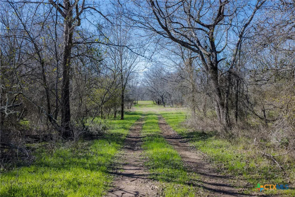 1589 Jeddo Road Rosanky, TX 78953