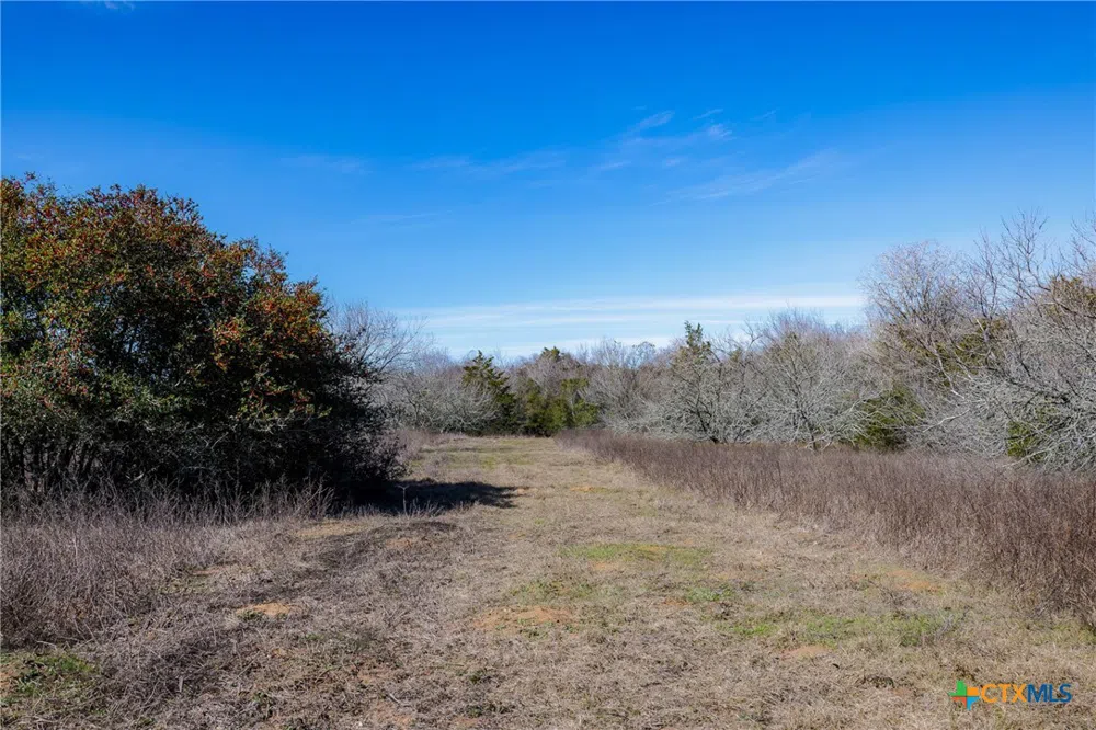 1589 Jeddo Road Rosanky, TX 78953
