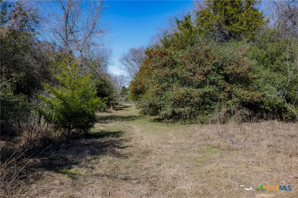 1589 Jeddo Road Rosanky, TX 78953