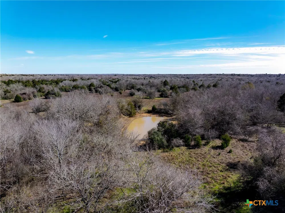 1589 Jeddo Road Rosanky, TX 78953