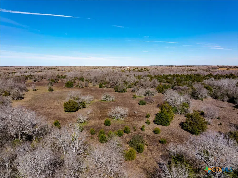 1589 Jeddo Road Rosanky, TX 78953