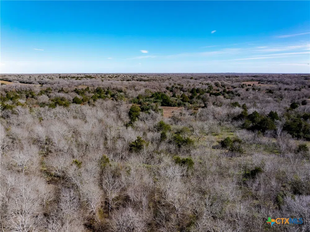 1589 Jeddo Road Rosanky, TX 78953