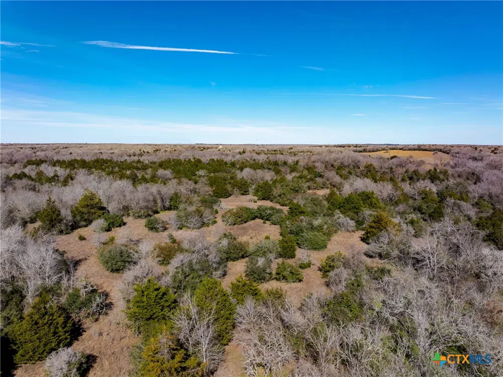 1589 Jeddo Road Rosanky, TX 78953