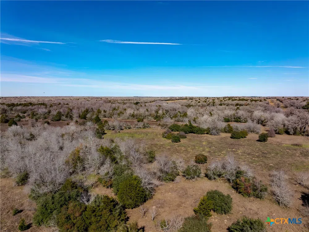 1589 Jeddo Road Rosanky, TX 78953
