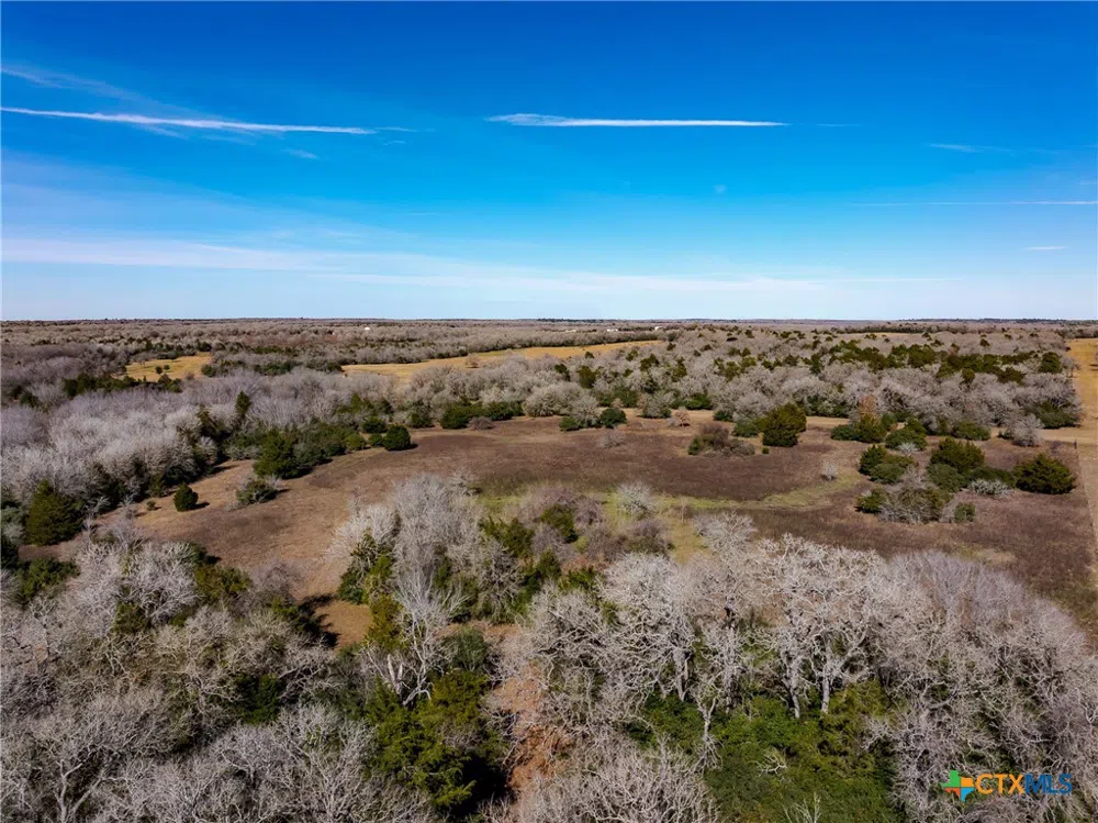 1589 Jeddo Road Rosanky, TX 78953