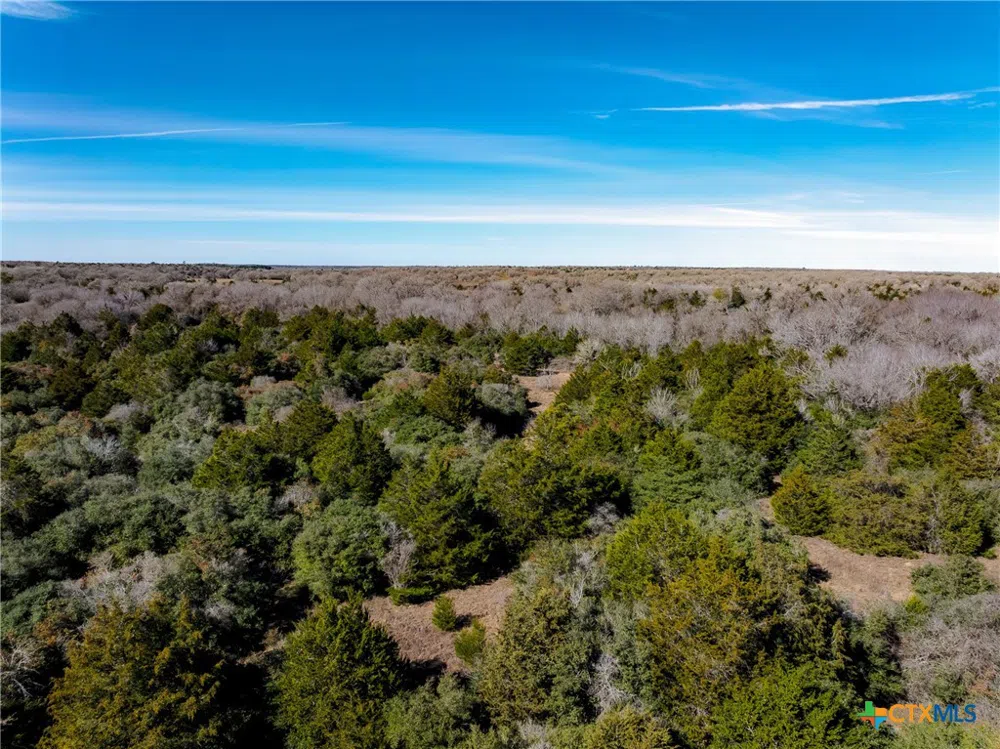 1589 Jeddo Road Rosanky, TX 78953
