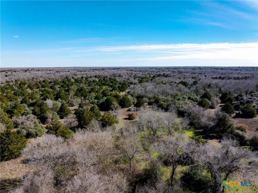 1589 Jeddo Road Rosanky, TX 78953