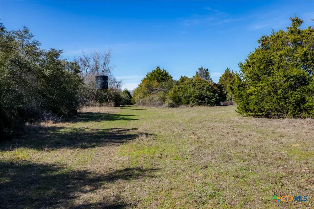 1589 Jeddo Road Rosanky, TX 78953