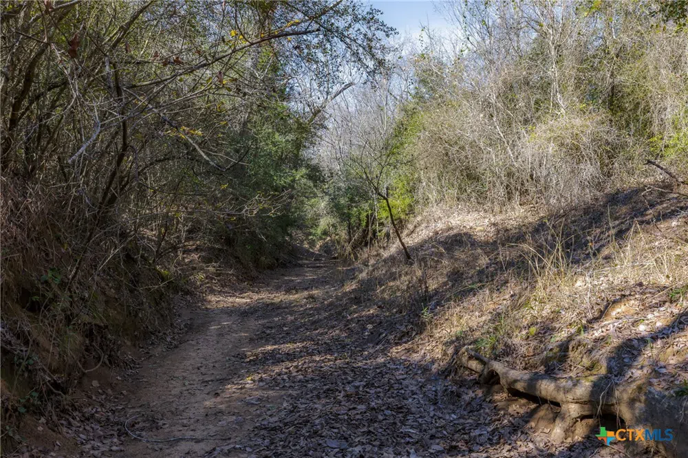 1589 Jeddo Road Rosanky, TX 78953
