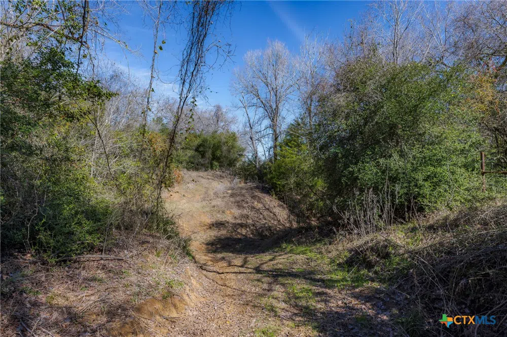 1589 Jeddo Road Rosanky, TX 78953