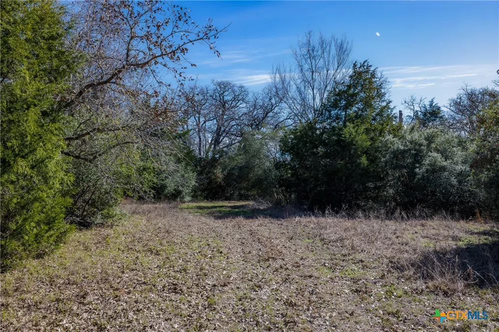 1589 Jeddo Road Rosanky, TX 78953
