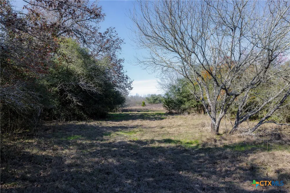 1589 Jeddo Road Rosanky, TX 78953