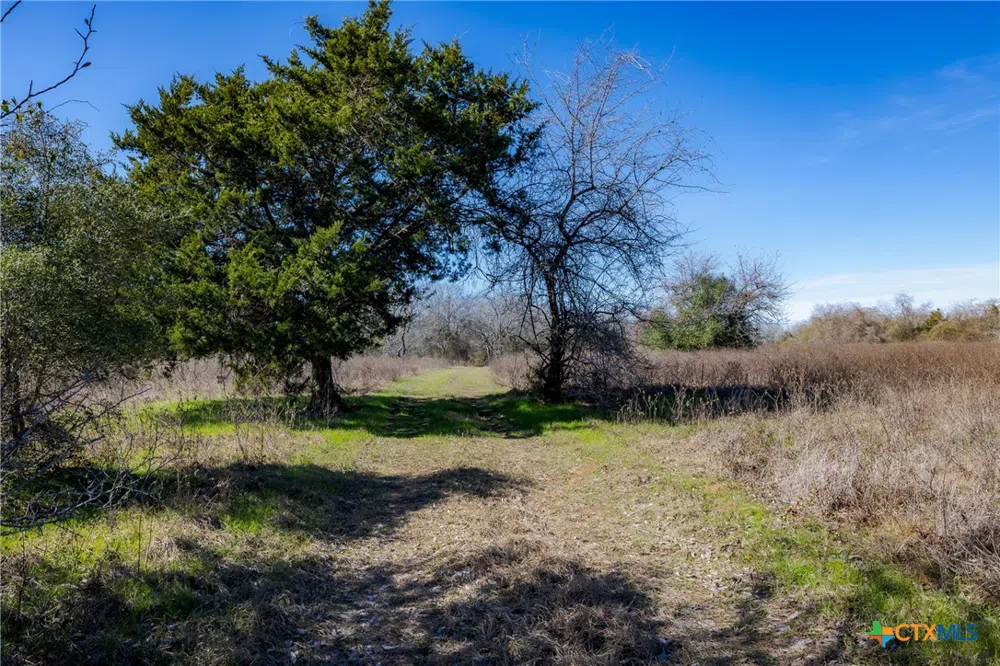 1589 Jeddo Road Rosanky, TX 78953