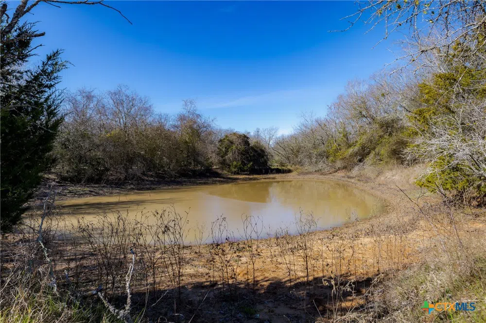 1589 Jeddo Road Rosanky, TX 78953