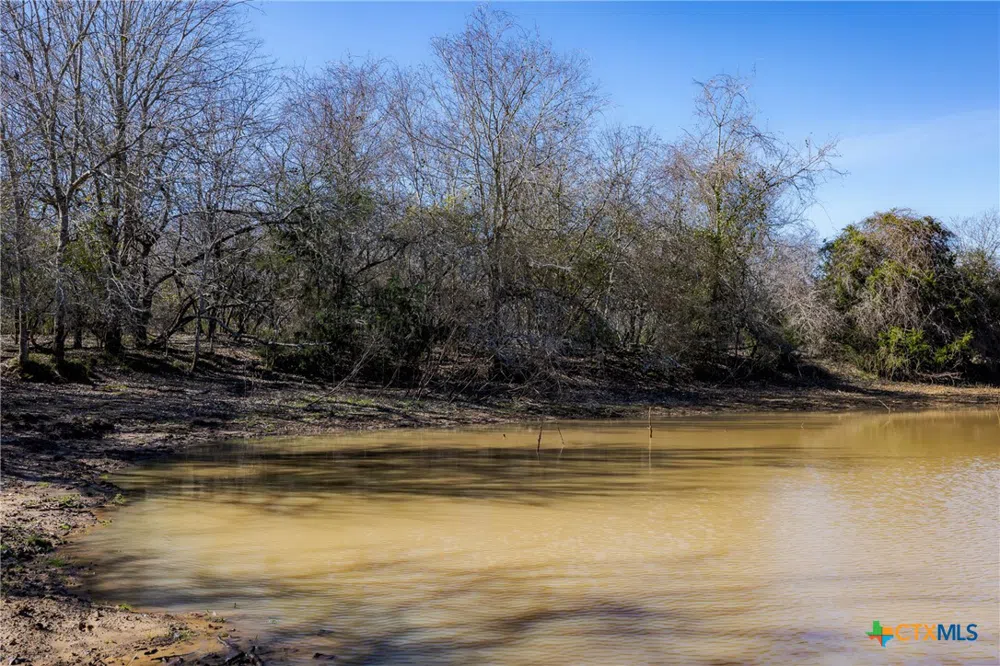 1589 Jeddo Road Rosanky, TX 78953