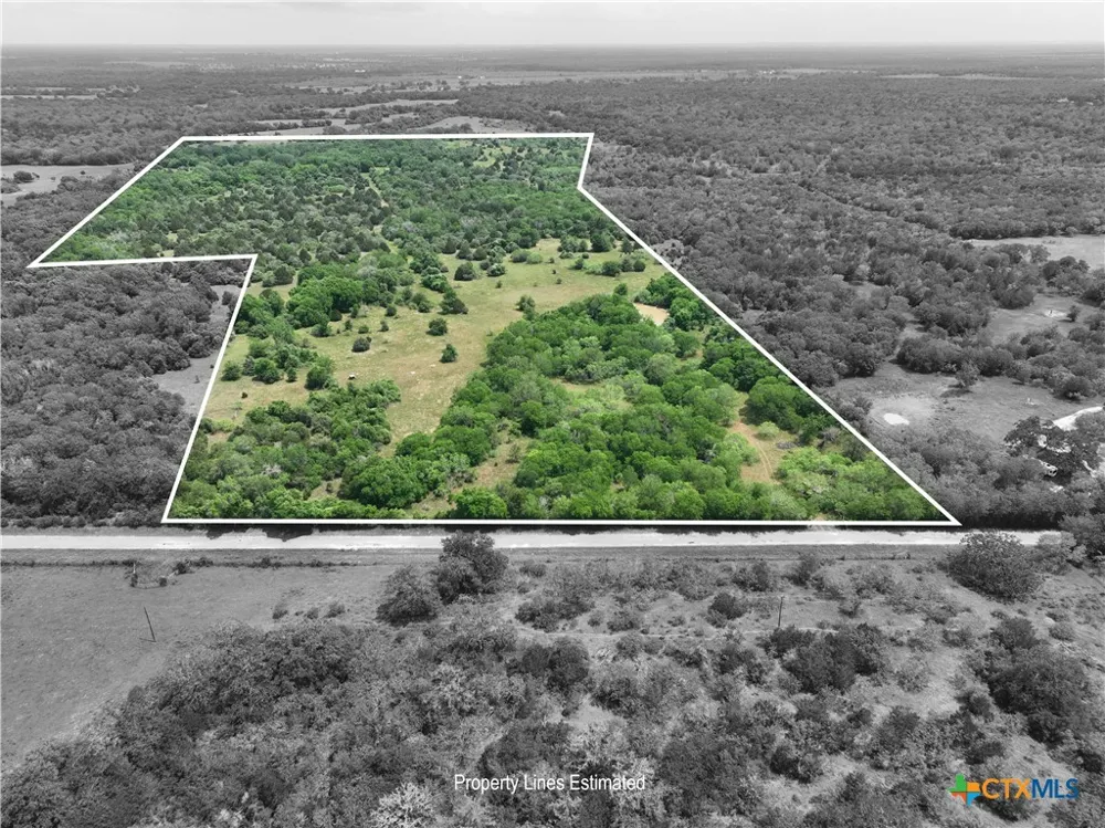 1589 Jeddo Road Rosanky, TX 78953