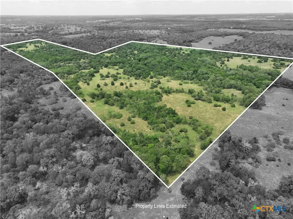 1589 Jeddo Road Rosanky, TX 78953