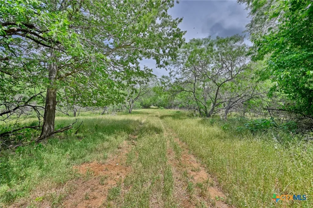 1589 Jeddo Road Rosanky, TX 78953