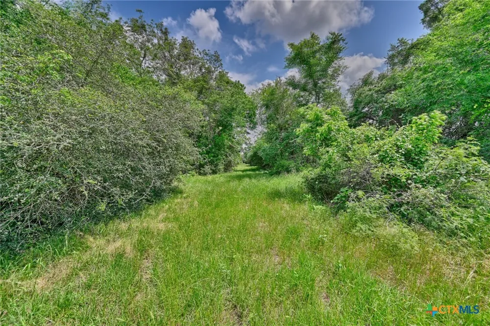 1589 Jeddo Road Rosanky, TX 78953