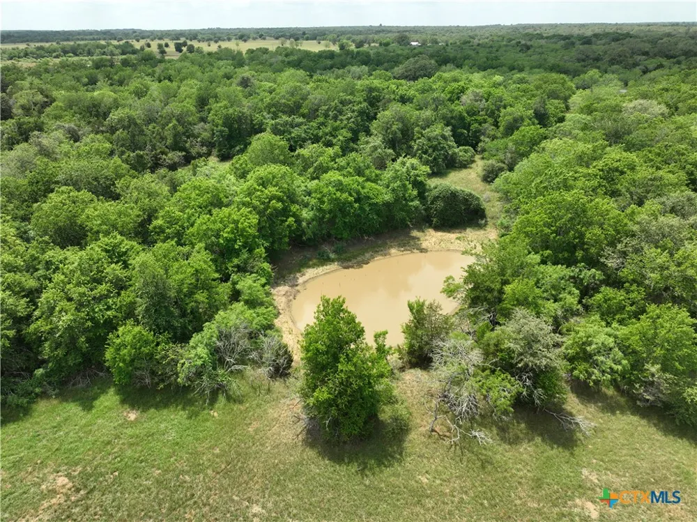 1589 Jeddo Road Rosanky, TX 78953