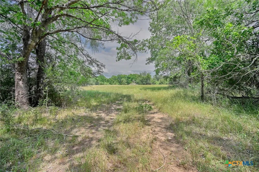 1589 Jeddo Road Rosanky, TX 78953