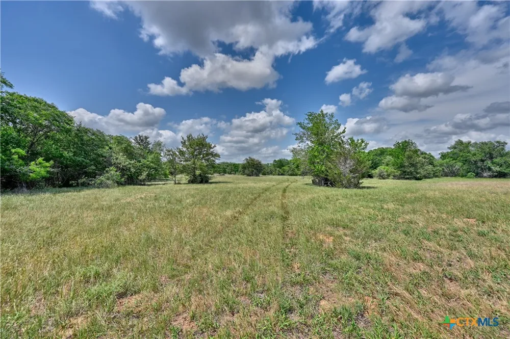 1589 Jeddo Road Rosanky, TX 78953