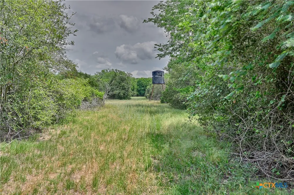 1589 Jeddo Road Rosanky, TX 78953