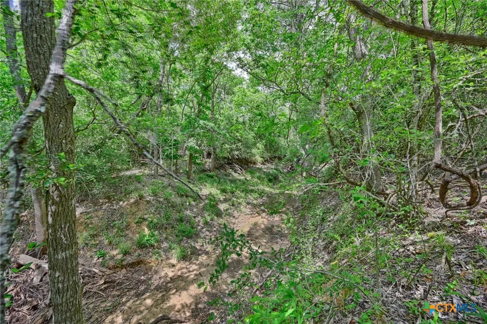 1589 Jeddo Road Rosanky, TX 78953