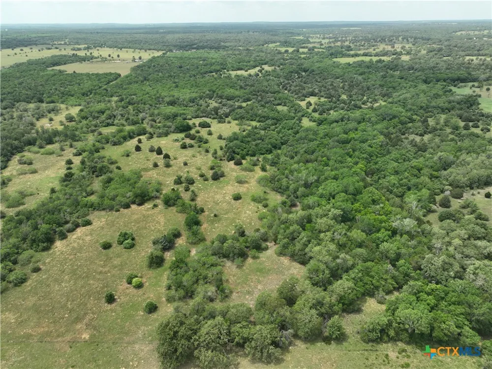 1589 Jeddo Road Rosanky, TX 78953
