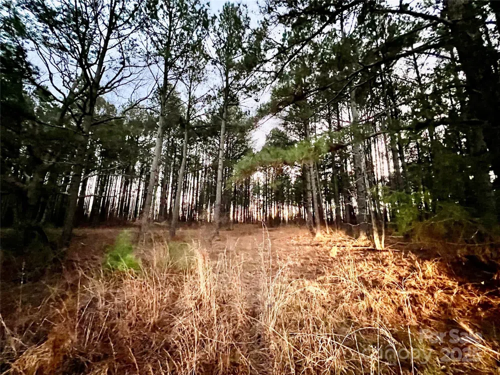 TBD Wateree Road Great Falls, SC 29055