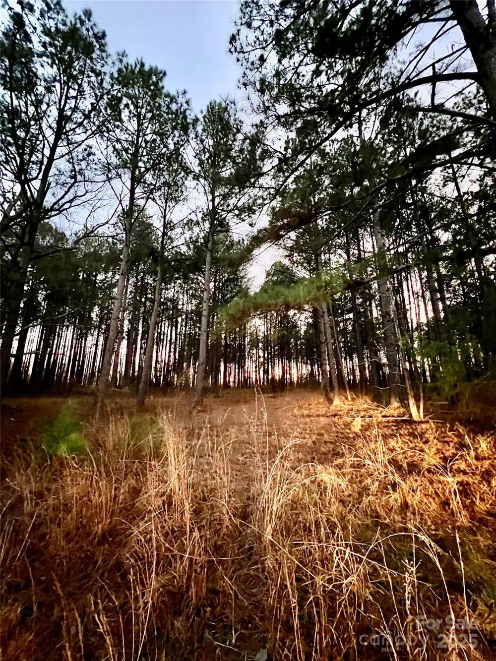 TBD Wateree Road Great Falls, SC 29055