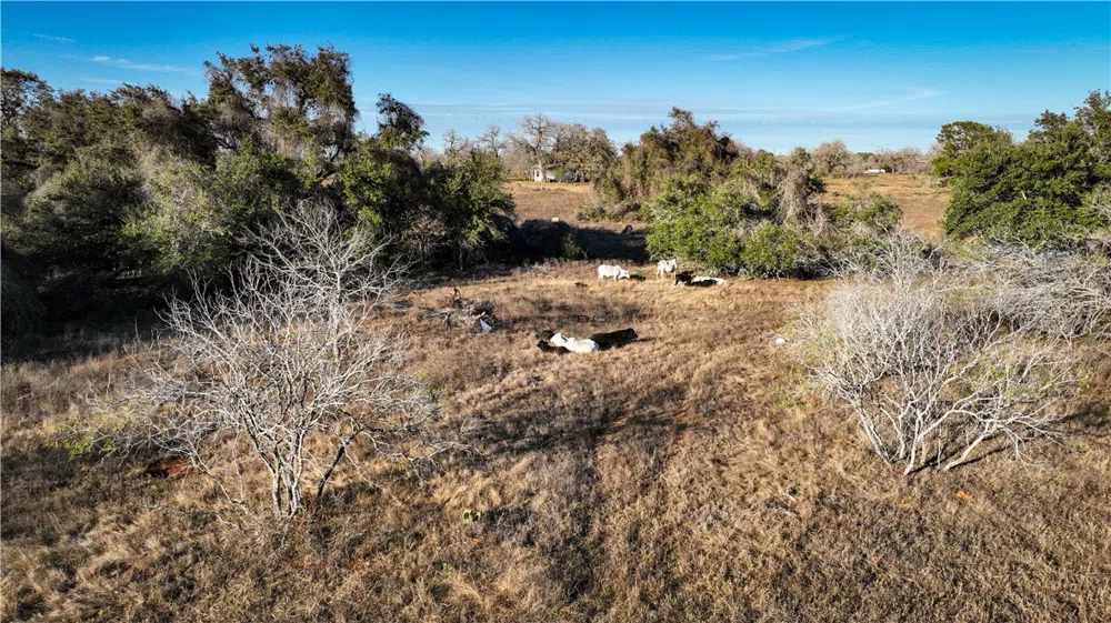 9912 FM 1681 Nixon, TX 78140