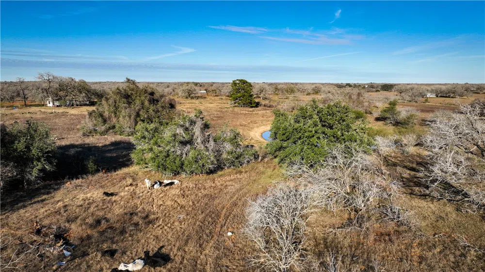 9912 FM 1681 Nixon, TX 78140